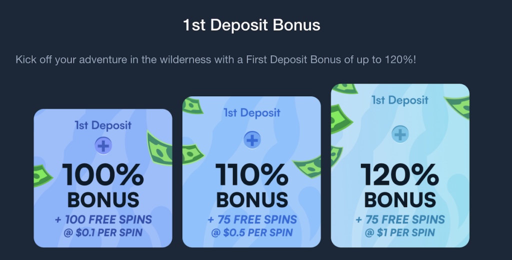 WildTornado Casino No Deposit Bonus Codes 2023: 25 Free Spins