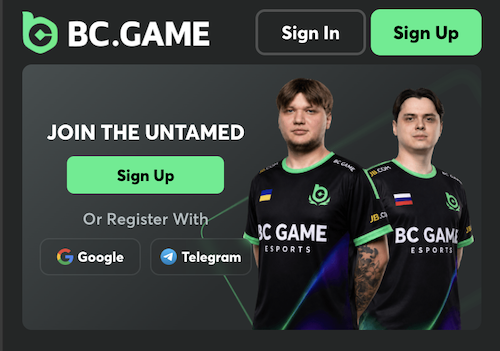bc.game casino welcome banner